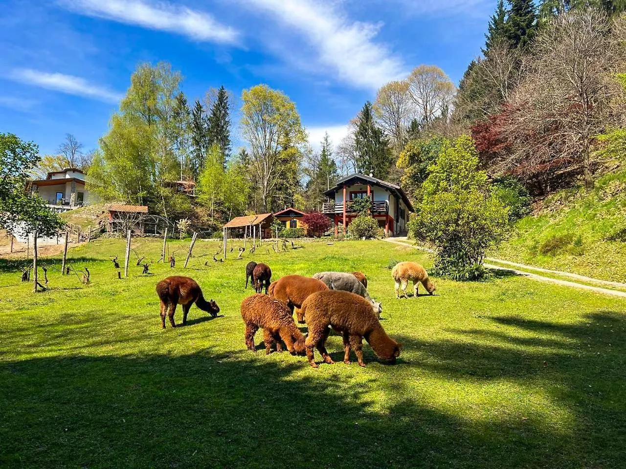 Appartement Sorti Alpaca à Luino Italie