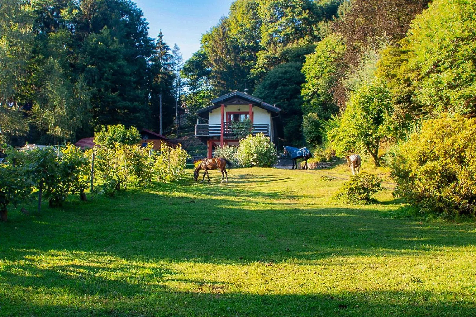 Appartement Sorti Alpaca à Luino